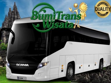 MEDIUM BUS